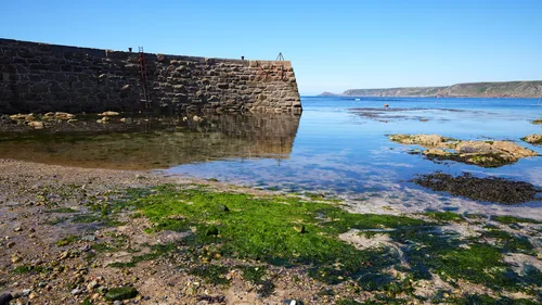 This landscape photograph, taken in the afternoon during the summer season, features the stone harbour wall at Sennen Cove Harbour in Cornwall, England, United Kingdom. The image showcases the tidal shoreline with green algae and seaweed exposed on the sandy and rocky foreground, while calm sea water reflects the clear blue sky. The harbour wall, constructed from large stones, includes a metal ladder affixed to its side, and is a prominent feature of this coastal area. In the background, the coastline leads towards Cape Cornwall, which is visible as a distant landmark on the northern side of the horizon. The photograph highlights the maritime character of Sennen Cove and its connection to the harbour and sea.